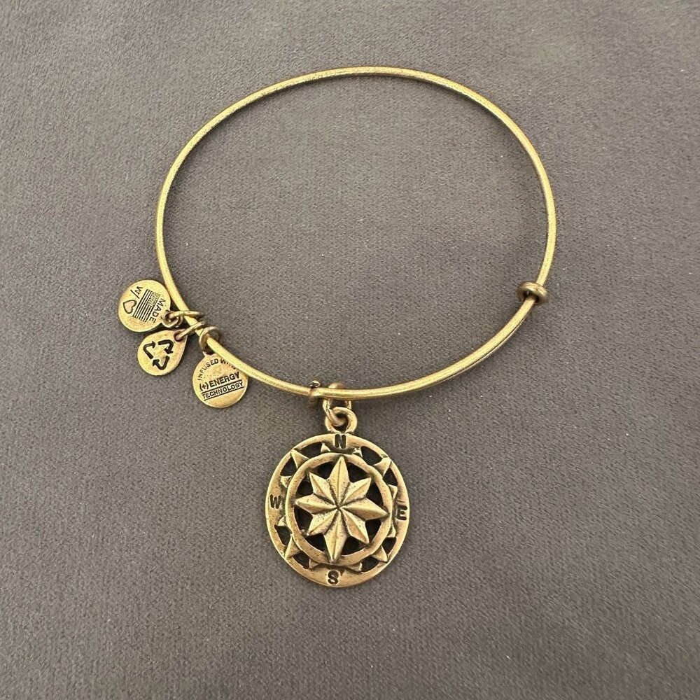 Alex And Ani Bracelet Gold Tone Compass Direction 2014 USA Bangle Energy W/ Bag